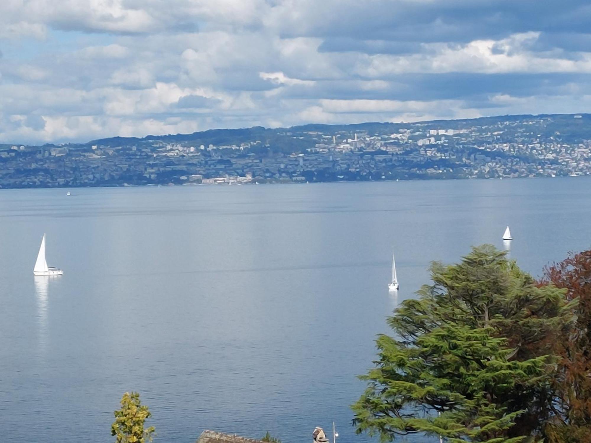 Le Mirabeau Vue Lac Evian-les-Bains Luaran gambar