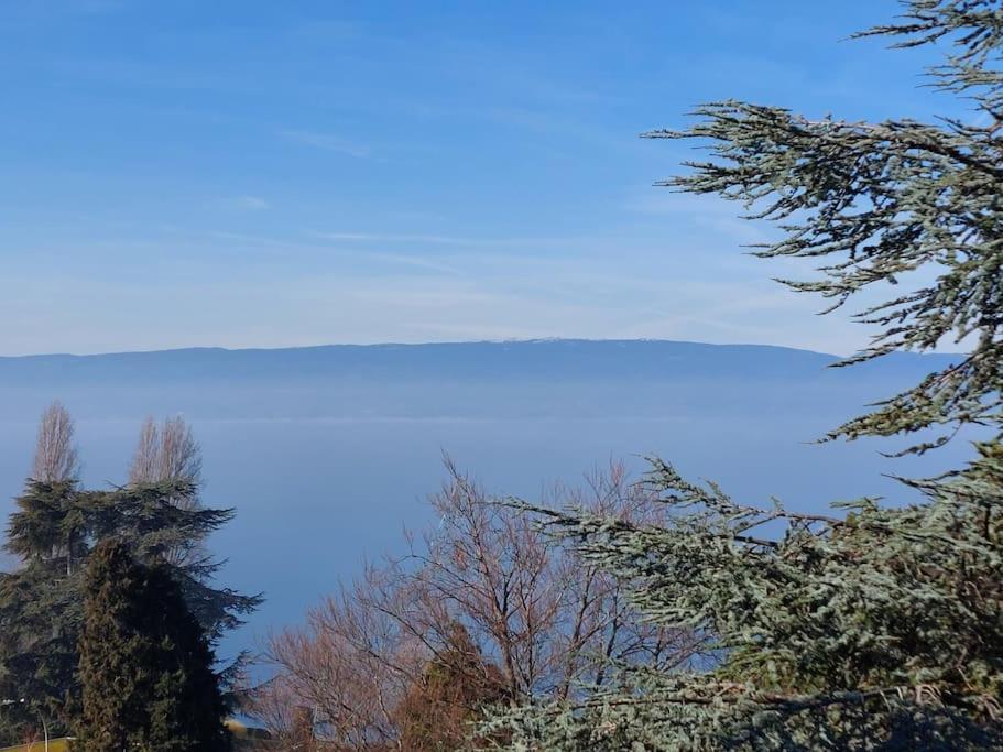 Le Mirabeau Vue Lac Evian-les-Bains Luaran gambar