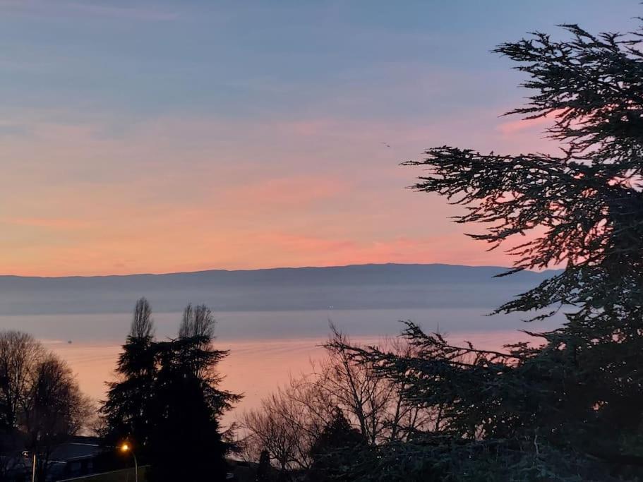 Le Mirabeau Vue Lac Evian-les-Bains Luaran gambar