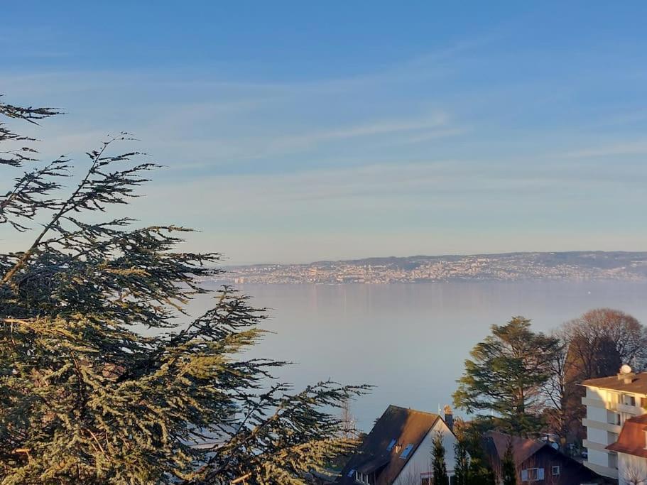 Le Mirabeau Vue Lac Evian-les-Bains Luaran gambar